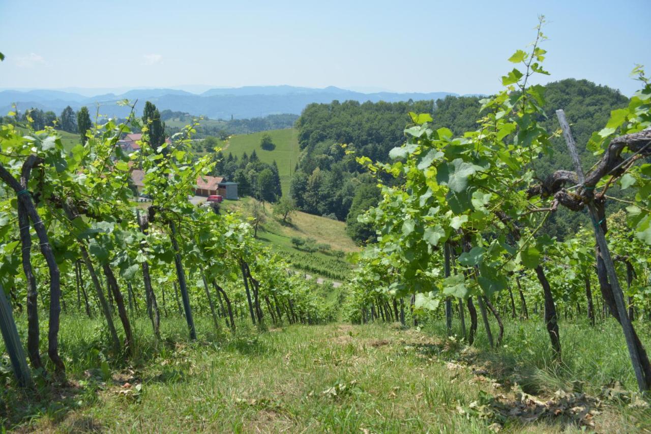 Weingut Pugl Apartment ไลบ์นิทซ์ ภายนอก รูปภาพ